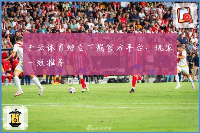 开云体育综合下载官方平台，玩家一致推荐