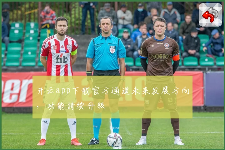 开云app下载官方通道未来发展方向，功能持续升级