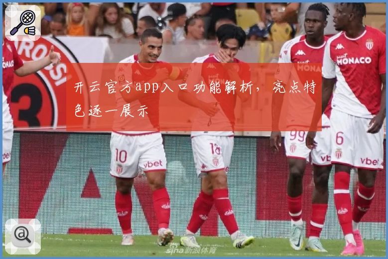 开云官方app入口功能解析，亮点特色逐一展示
